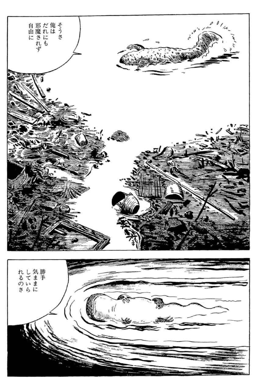 山椒魚の紙面