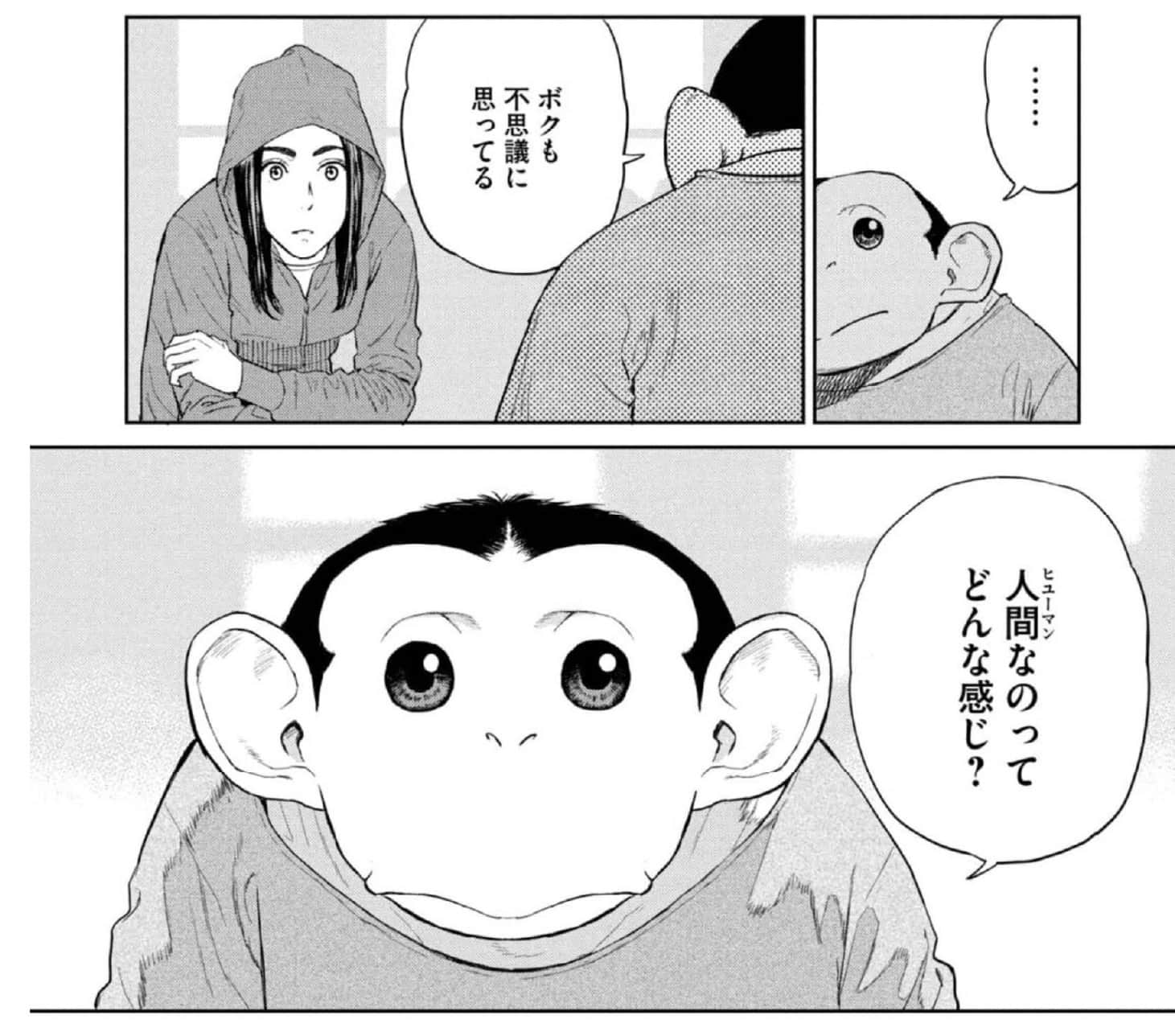 ダーウィン事変の紙面