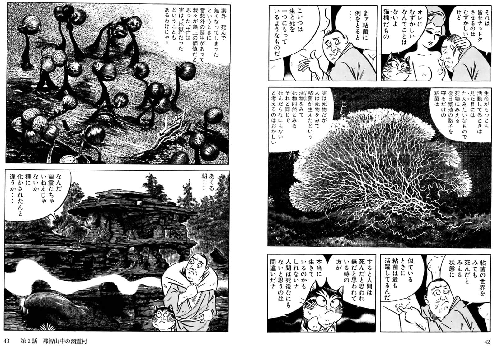 『猫楠 南方熊楠の生涯』の誌面