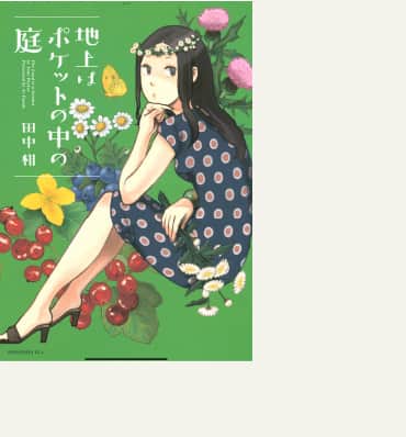 地上はポケットの中の庭の表紙