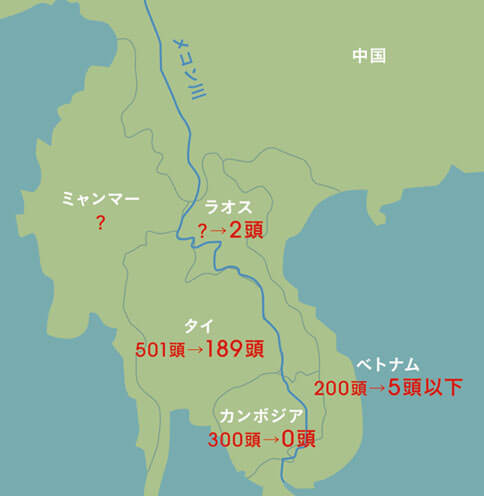 インドシナトラの生息状況