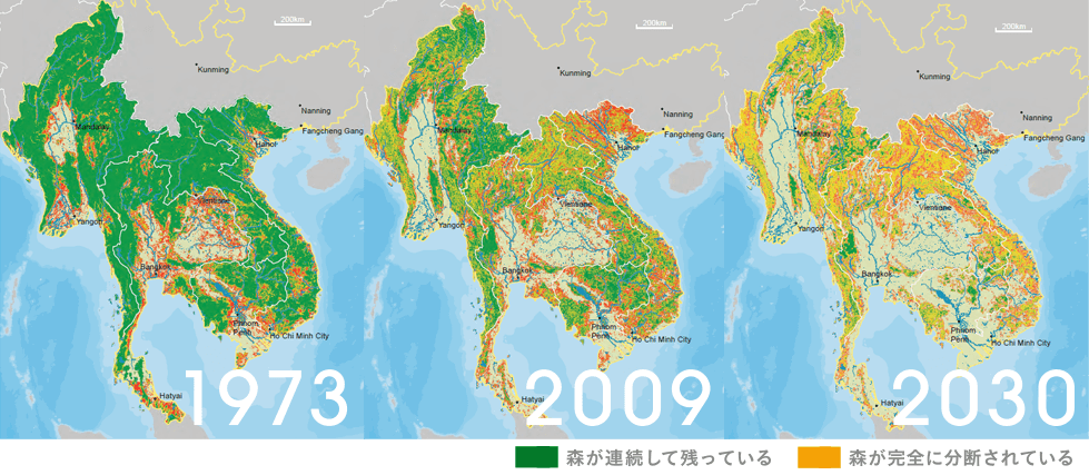 森林減少の推移