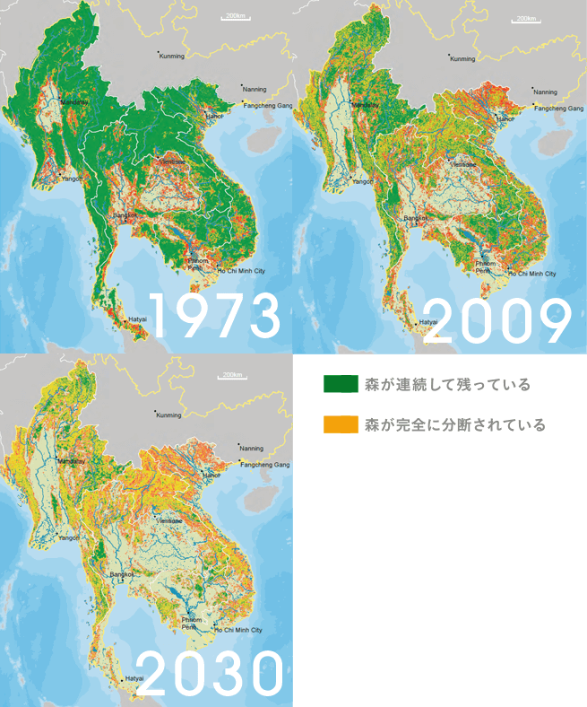 メコンの森の森林減少の推移