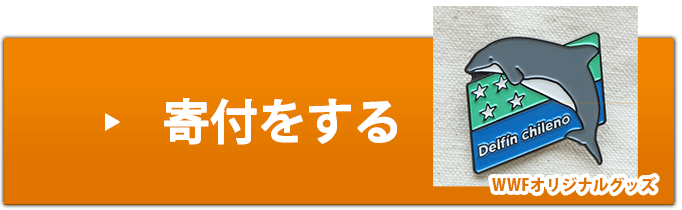 寄付をする