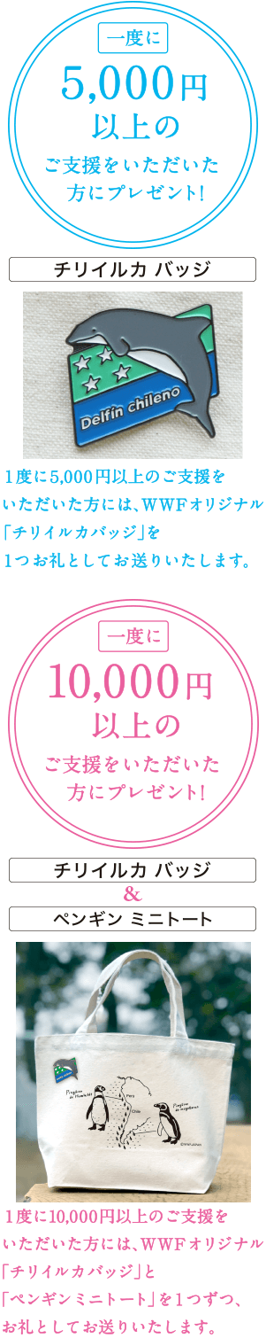 WWFオリジナル　チリイルカバッジ、ペンギンミニトートをプレゼント！