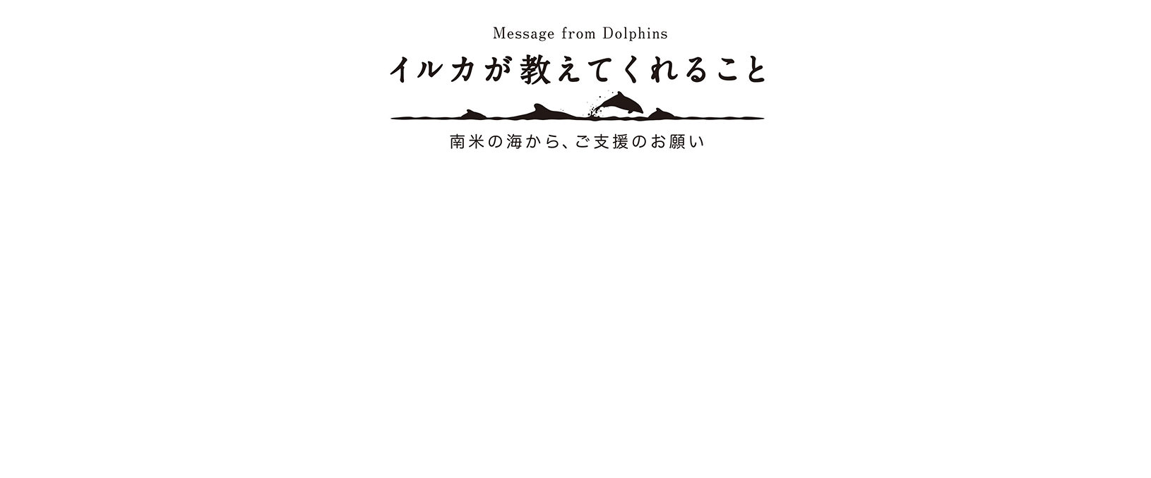 イルカが教えてくれること