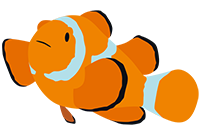 クマノミ