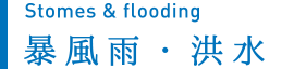 暴風雨・洪水