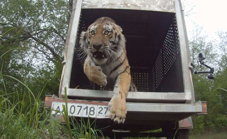 違法行為の監視