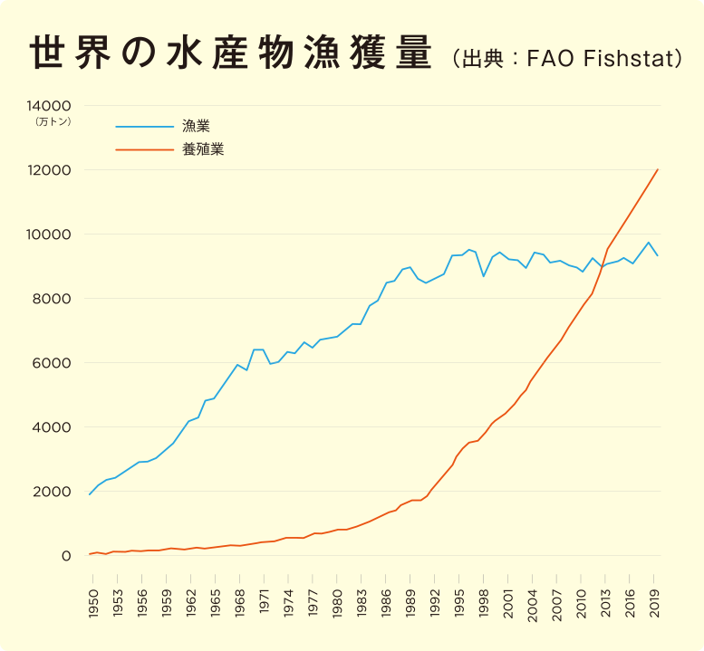 漁業　混獲の問題　野生生物への影響