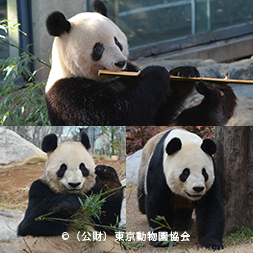 上野動物園