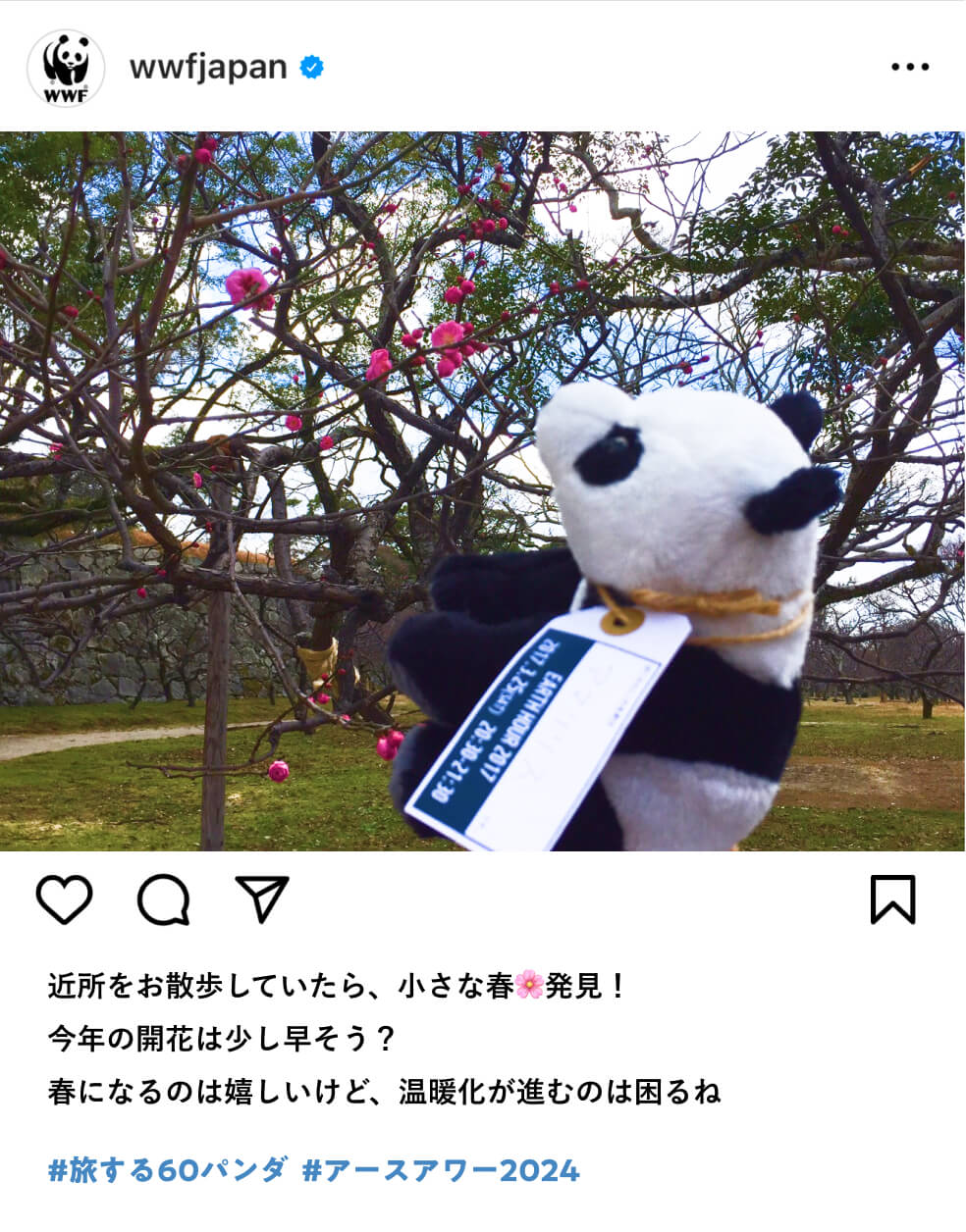SNSの投稿イメージ1：（パンダのぬいぐるみと木になる赤いつぼみの画像とともに）近所のお散歩していたら、小さな春発見！今年の開花は少し早そう？春になるのは嬉しいけど、温暖化が進むのは困るね。ハッシュタグ #旅する60パンダ #アースアワー2024