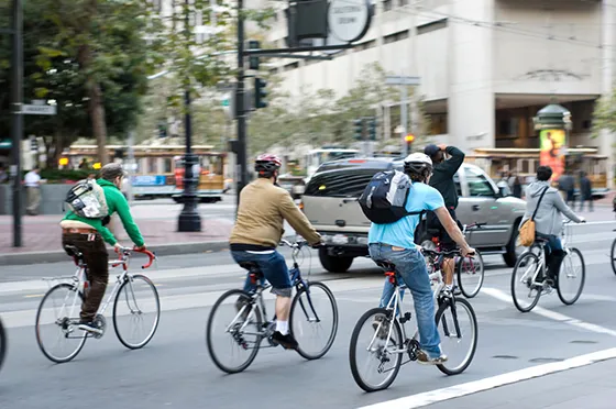 Fitness and Wellness