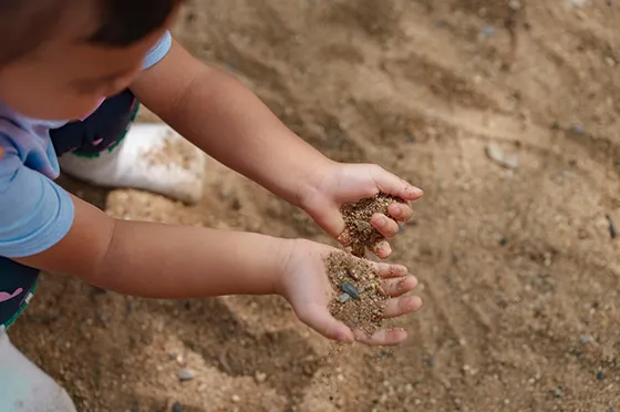 Fitness and Wellness