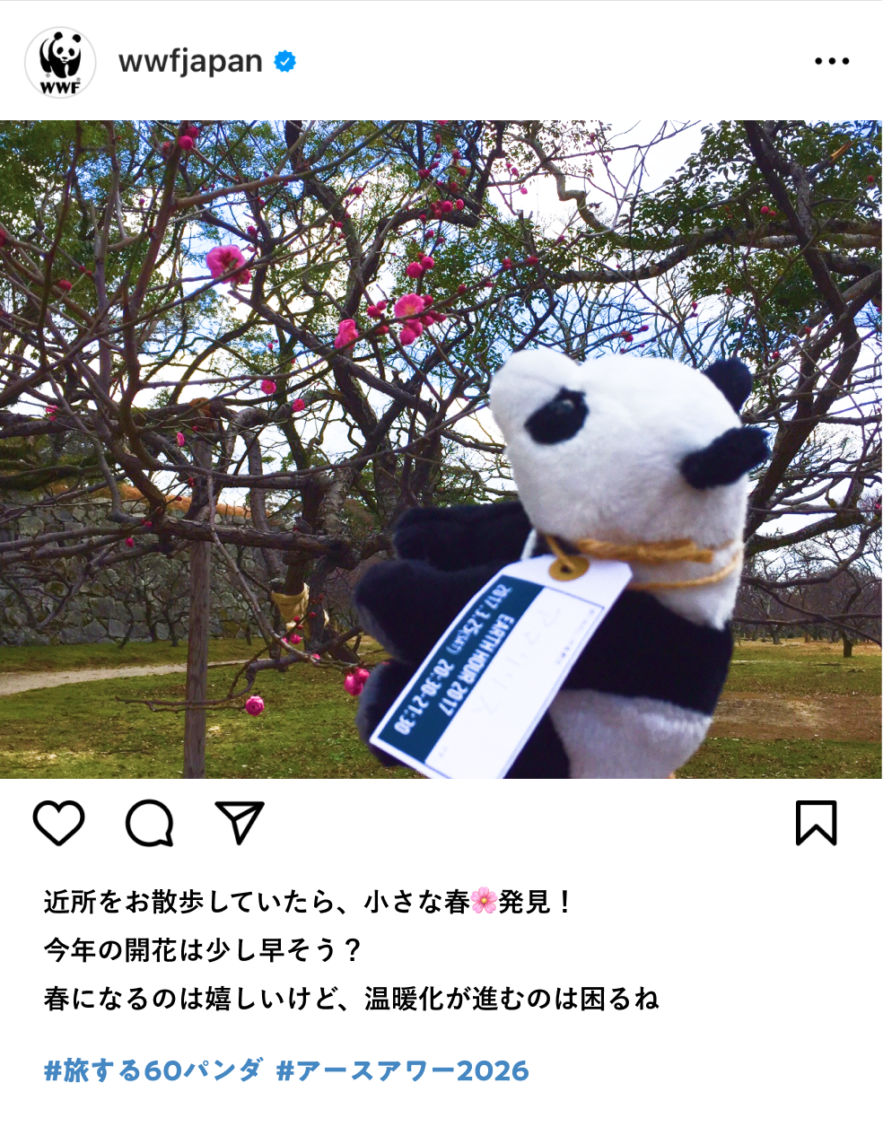 SNSの投稿イメージ1：（パンダのぬいぐるみと木になる赤いつぼみの画像とともに）近所のお散歩していたら、小さな春発見！今年の開花は少し早そう？春になるのは嬉しいけど、温暖化が進むのは困るね。ハッシュタグ #旅する60パンダ #アースアワー2026