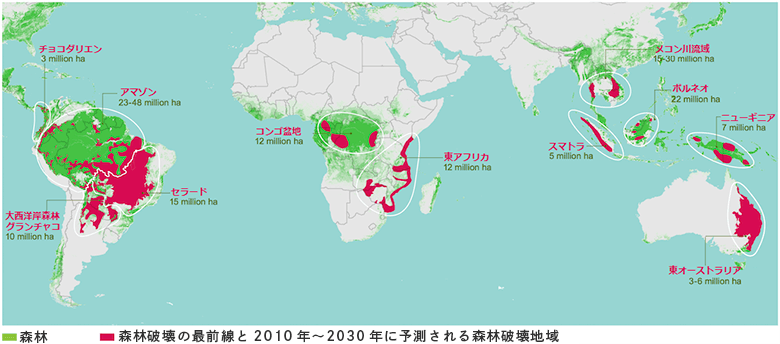 森林破壊の原因って 森林破壊を止めるために 今日からできること Wwfジャパン Wwfジャパン