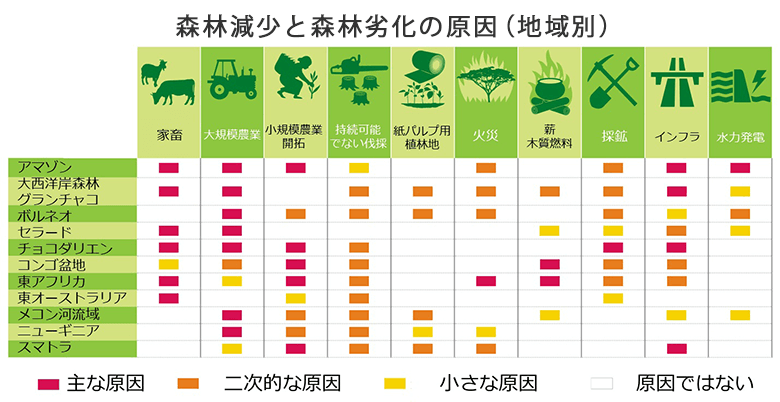 森林破壊の原因って 森林破壊を止めるために 今日からできること Wwfジャパン Wwfジャパン