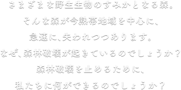 森林破壊の原因って 森林破壊を止めるために 今日からできること Wwfジャパン Wwfジャパン