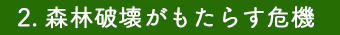 世界の森林破壊がもたらす危機