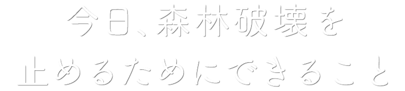 森林破壊の原因って 森林破壊を止めるために 今日からできること Wwfジャパン Wwfジャパン