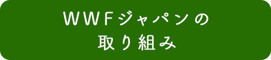 WWFジャパンの取り組み