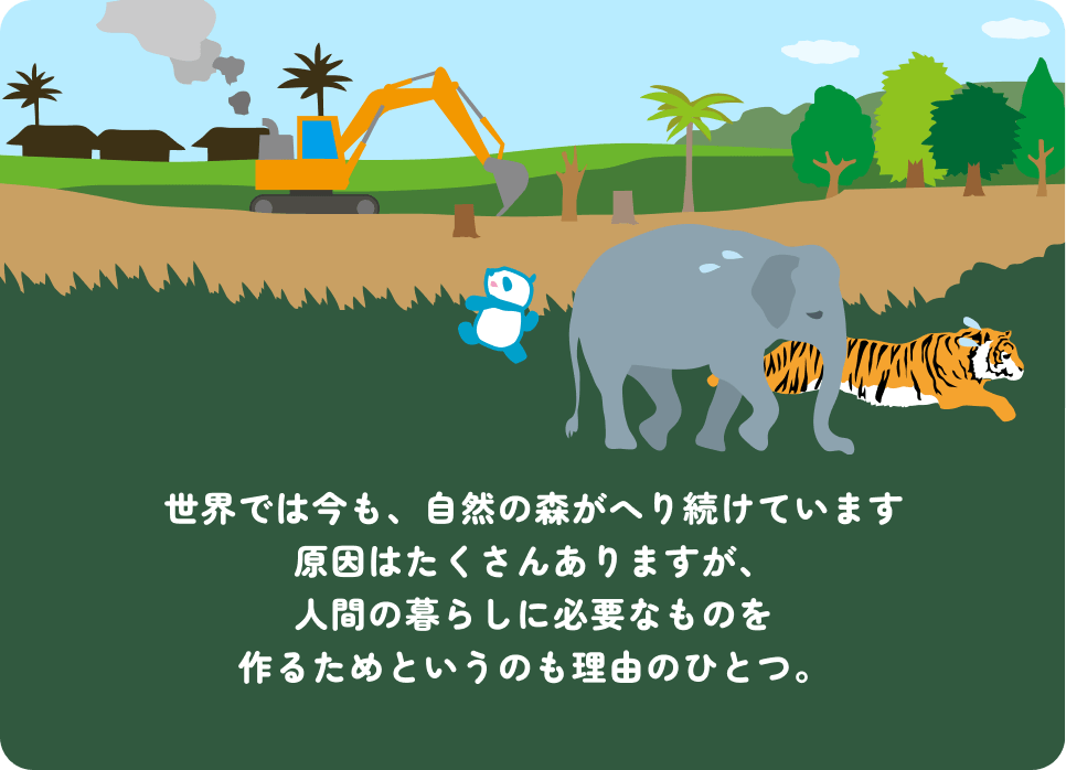 世界では今も、自然の森がへり続けています原因はたくさんありますが、人間の暮らしに必要なものを作るためというのも理由のひとつ。