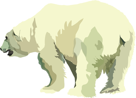 イラスト(ホッキョクグマ)