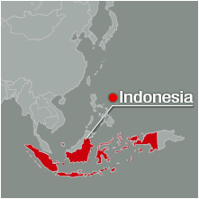 Map of Indonesia