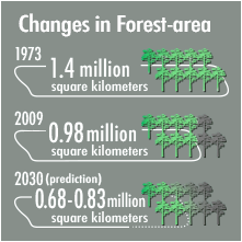 Trends of forest covered area