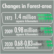 Trends of forest covered area