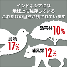 インドネシシアに残存する自然