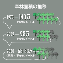 森林面積の推移