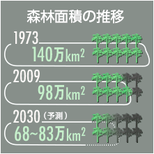 森林面積の推移