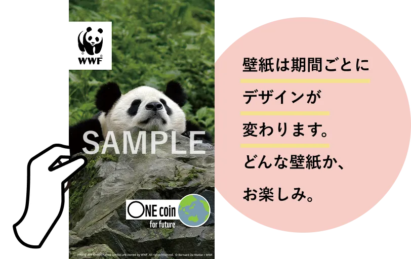 壁紙は期間ごとにデザインが変わります。どんな壁紙か、お楽しみ。