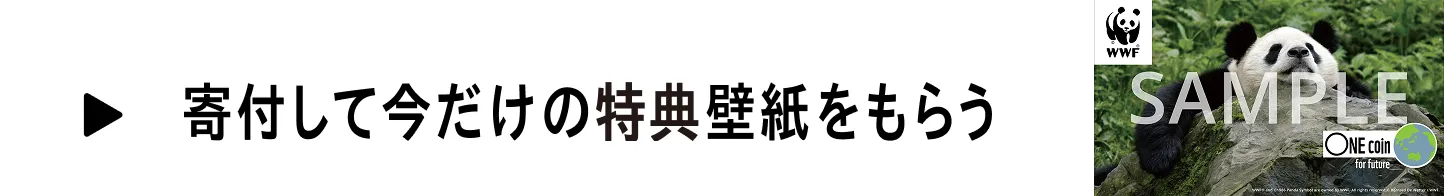 寄付して今だけの特典壁紙をもらう