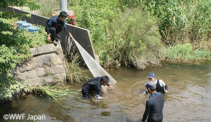 希少な淡水魚の重要生息地である県や市町村など行政に、日本の水田風景と希少な生きもの保全のアプローチを行います。