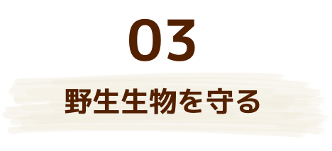 野生生物を守る