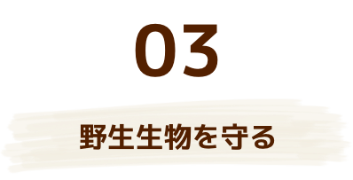 野生生物を守る