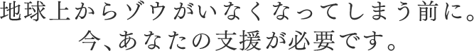 地球上からゾウがいなくなってしまう前に。今、あなたの支援が必要です。