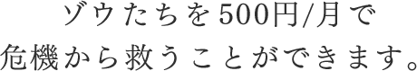 ゾウたちを500円/月で危機から救うことができます。