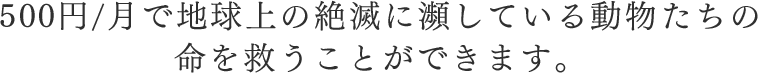 500円/月で地球上の絶滅に瀕している動物たちの命を救うことができます。