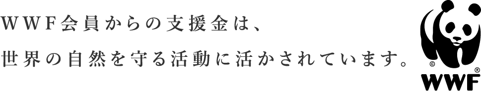 31.	WWF会員からの支援金は、世界の自然を守る活動に活かされています。