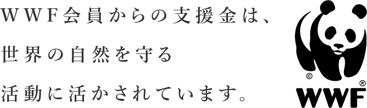 31.	WWF会員からの支援金は、世界の自然を守る活動に活かされています。