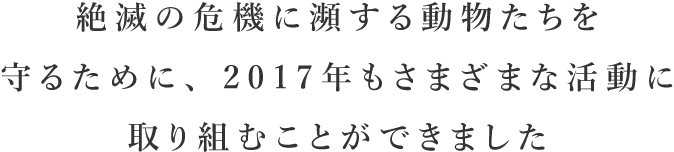 絶滅の危機に瀕する動物たちを守るために、2017年もさまざまな活動に取り組むことができました