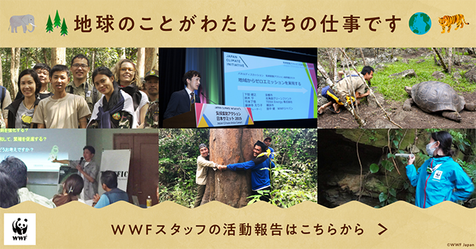 地球のことがわたしたちの仕事です。WWFスタッフの活動報告はこちら