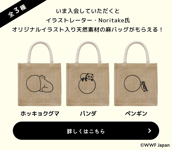 詳しくはこちら