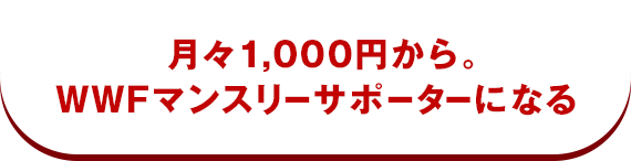 月々1,000円から。WWFマンスリーサポーターになる