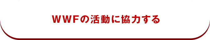 月々500円から。WWFの活動に協力する
