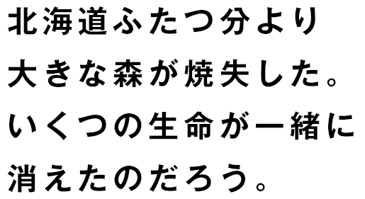 北海道ふたつ分より大きな森が消失した。いくつの生命がいっしょに消えたのだろう。