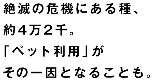 絶滅の危機にある種、約4万2千。「ペット利用」がその一因となることも。